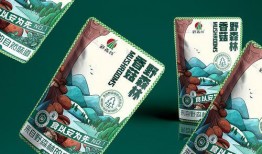 爆料森林包装怎么做视频,如何制作引人入胜的视频内容